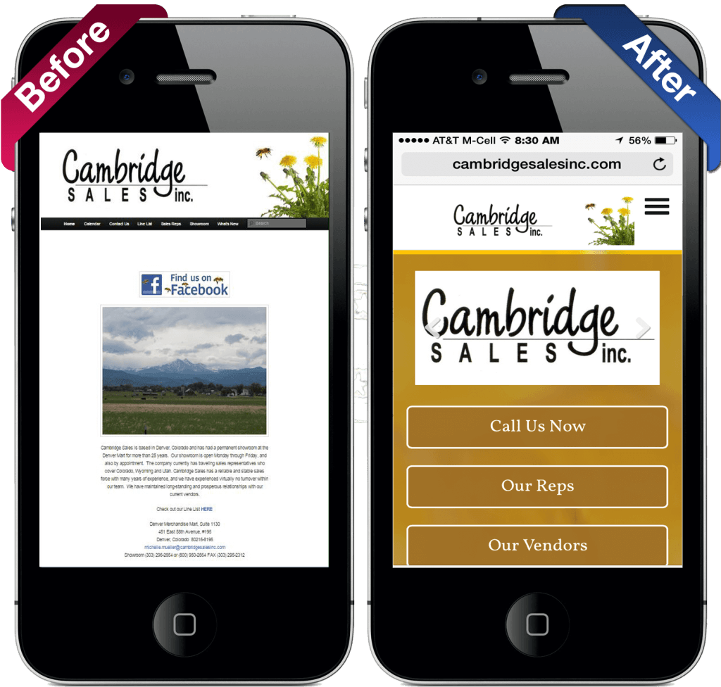 Cambridge Sales Inc website makeover by REXP