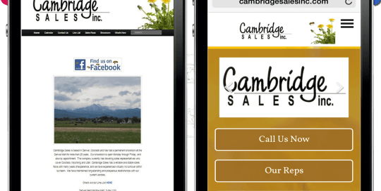 Cambridge Sales Inc website makeover by REXP